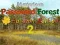 Mysterious Password Forest Autumn Edition 2 — безкоштовна онлайн гра