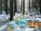 Winter Wonderland Forest Adventure — безкоштовна онлайн гра