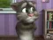 Talking Tom Cat 2 — безкоштовна онлайн гра
