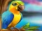 Little Parrot Escape — безкоштовна онлайн гра