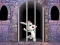 Victory Rabbit Escape — безкоштовна онлайн гра