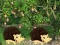 Escape From Mango Farm — безкоштовна онлайн гра
