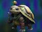 Isolated Turtle Escape — безкоштовна онлайн гра