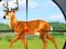 Wild Hunt Hunting Games 3D — безкоштовна онлайн гра