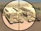 Camo Sniper — безкоштовна онлайн гра