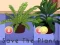 Save the Plants — безкоштовна онлайн гра