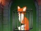 Fox in the Forgotten Ruins — безкоштовна онлайн гра