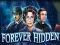 Forever Hidden — безкоштовна онлайн гра