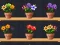 Good Flower Master — безкоштовна онлайн гра