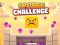 Sponge Challenge — безкоштовна онлайн гра