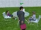 Millionaire Simulator 2024 — безкоштовна онлайн гра