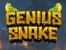 Genius Snake — безкоштовна онлайн гра