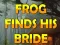 Frog Finds His Bride — безкоштовна онлайн гра