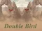 Double Bird — безкоштовна онлайн гра