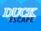 Duck Escape — безкоштовна онлайн гра
