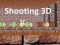 Shooting 3D — безкоштовна онлайн гра