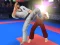 Karate Fighter — безкоштовна онлайн гра