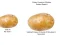 Potato Construct 2 Edition — безкоштовна онлайн гра