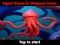 Squid Game In Dalgona Panic — безкоштовна онлайн гра