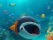 Escape The Shark Cage — безкоштовна онлайн гра