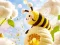 Find The Differences: Little Bee's Adventure — безкоштовна онлайн гра