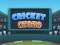Cricket Craze — безкоштовна онлайн гра