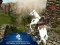 Ertugrul Gazi Horse Sim — безкоштовна онлайн гра