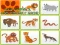 Wild Animals Kids Memory game — безкоштовна онлайн гра