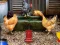 Poultry Farm Easter Escape — безкоштовна онлайн гра