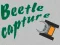 Beetle Capture — безкоштовна онлайн гра