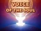Voice Of The Soul — безкоштовна онлайн гра