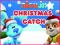 Nick Jr. Christmas Catch — безкоштовна онлайн гра