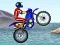 FMX team — безкоштовна онлайн гра