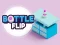 Bottle Flip — безкоштовна онлайн гра