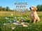 Playful Puppy Outdoor Puzzle — безкоштовна онлайн гра