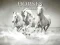 Horses Puzzle — безкоштовна онлайн гра