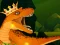 The Dino King — безкоштовна онлайн гра