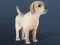 IDLE Pet — безкоштовна онлайн гра