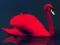 Love Birds Puzzle — безкоштовна онлайн гра