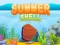 Summer Shell — безкоштовна онлайн гра