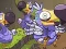 Save The Dodos — безкоштовна онлайн гра