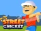Street Cricket — безкоштовна онлайн гра