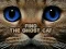 Find the Ghost Cat — безкоштовна онлайн гра