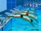 Swimming Pool Race — безкоштовна онлайн гра