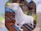 Angry Goat Wild Animal Rampage — безкоштовна онлайн гра
