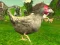 Chicken Shooter — безкоштовна онлайн гра