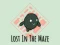 Lost In The Maze — безкоштовна онлайн гра