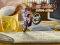Bike Mania 4 Micro Office — безкоштовна онлайн гра