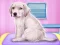Labrador at the doctor salon — безкоштовна онлайн гра