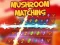Mushroom matching — безкоштовна онлайн гра